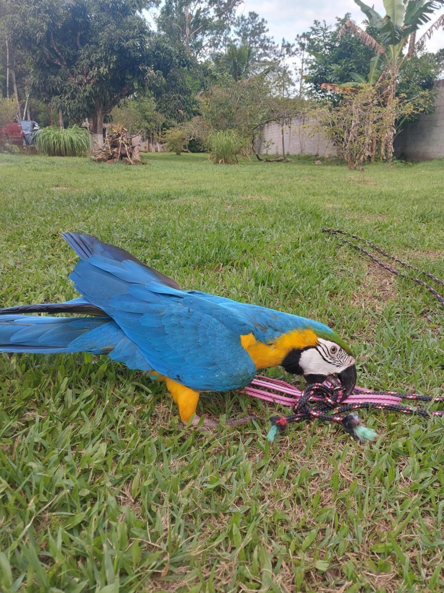 Recanto Sao Fernando Hotel Itanhaém Kültér fotó